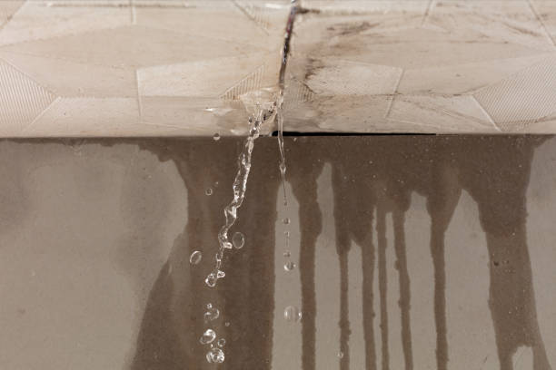 Professional Structural Drying technician working in Happy, TX